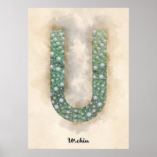 U is voor Urchin Poster (Voorkant)