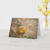 U kijkt Jong aan me! De Verjaardag van de Kaart (Gele Bloem)