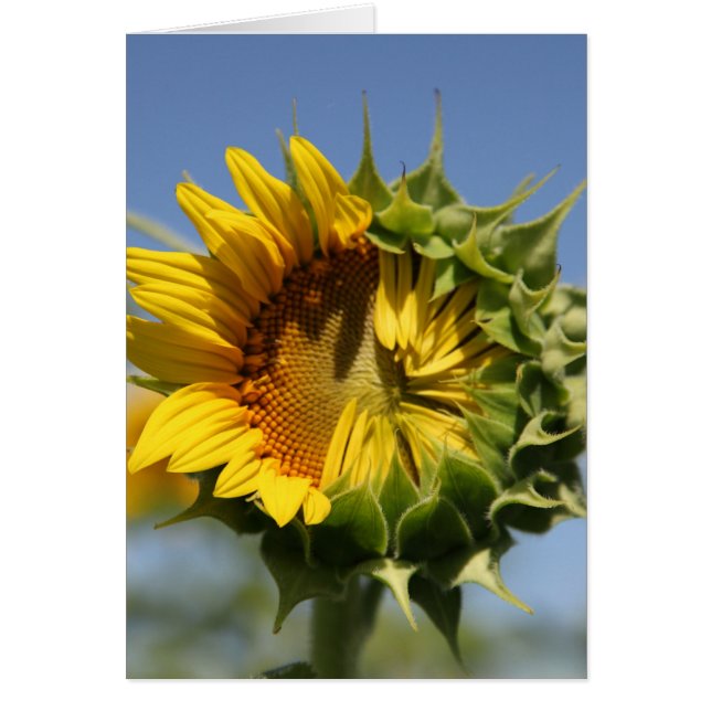 U kunt dit doen (Voorkant)