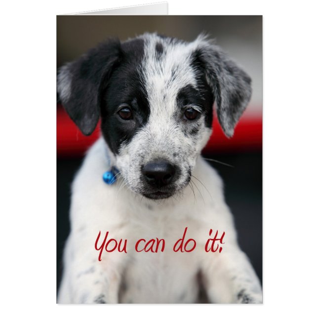 u kunt het (Voorkant)