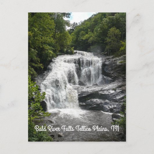 U kunt het verticale Briefkaart van de Regen danke (Voorkant)