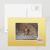 U kunt later het bed maken. briefkaart (Voorkant / Achterkant)