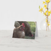 U Lookin bij me? De Kaarten van de nota (Gele Bloem)