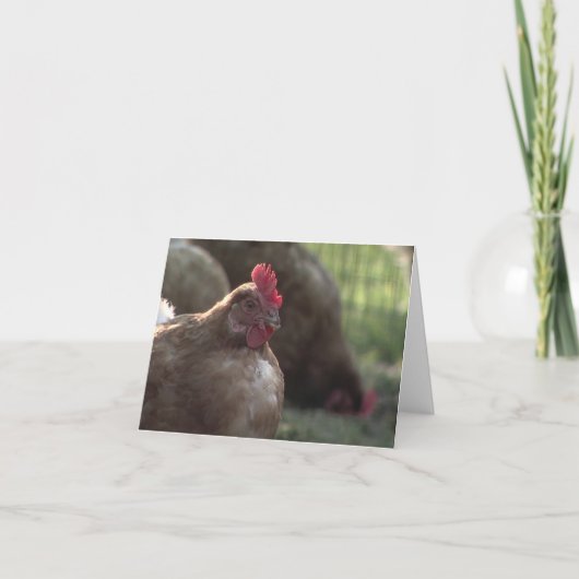 U Lookin bij me? De Kaarten van de nota (Voorkant)