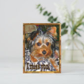 U ontbreekt briefkaart (Staand voorkant)