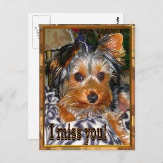 U ontbreekt briefkaart (Voorkant / Achterkant)