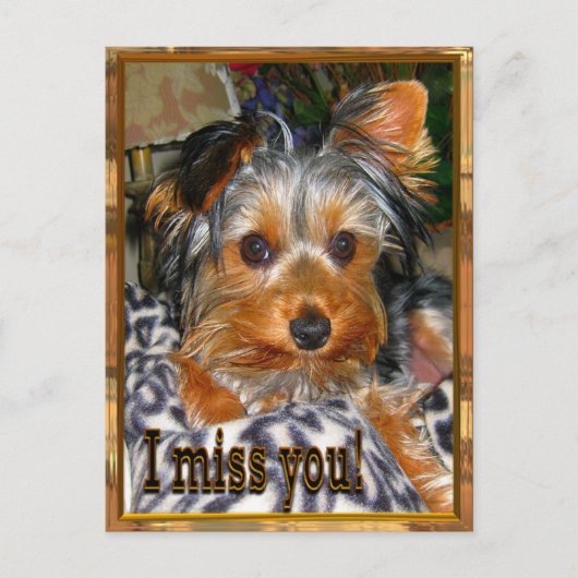 U ontbreekt briefkaart (Voorkant)