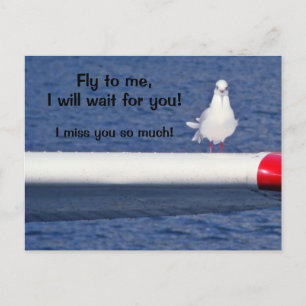 U ontbreekt - Briefkaart van Seagull