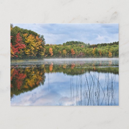 U P. Michigan Herfst Reflections Briefkaart (Voorkant)