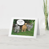 U-**** PENSIONERING***? GEWELDIG NIEUWS **GENIET** KAART (Voorkant)