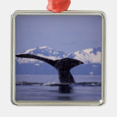 U.S.A., Alaska, Inside Passage Humpback whale Metalen Ornament (Voorkant)