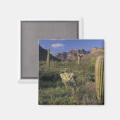U.S.A., Arizona, Organ Pipe National Monument. Magneet (Voorkant / Achterkant)
