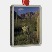U.S.A., Arizona, Organ Pipe National Monument. Metalen Ornament (Rechts)