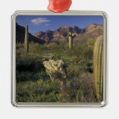 U.S.A., Arizona, Organ Pipe National Monument. Metalen Ornament (Voorkant)