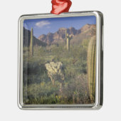 U.S.A., Arizona, Organ Pipe National Monument. Metalen Ornament (Links)