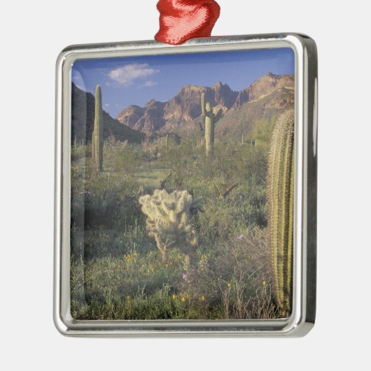 U.S.A., Arizona, Organ Pipe National Monument. Metalen Ornament (Links)