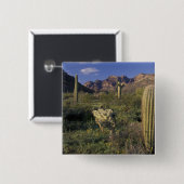 U.S.A., Arizona, Organ Pipe National Monument. Vierkante Button 5,1 Cm (Voorkant /achterkant)
