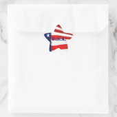 U.S.A. Star Shape Vlag Stickers (Tas)