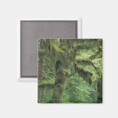 U.S.A., Washington, Olympic National Park. Magneet (Voorkant / Achterkant)