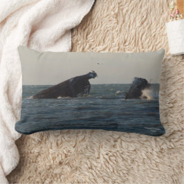 U.S. Atlantus betonnen scheepswrak, NJ kussen