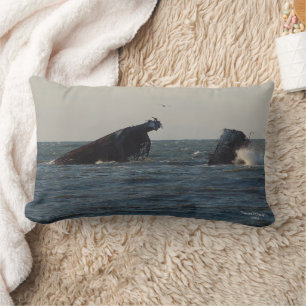 U.S. Atlantus betonnen scheepswrak, NJ kussen