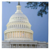 U.S. Capitol bij schemering, Washington D.C. (Dist Tegeltje (Voorkant)