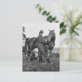 U.S. Horse Artillery, 1863 Briefkaart (Staand voorkant)