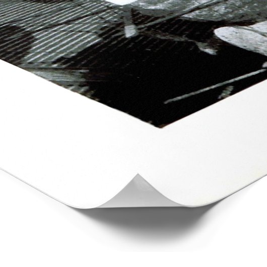 U.S. Maine Poster (Hoek)