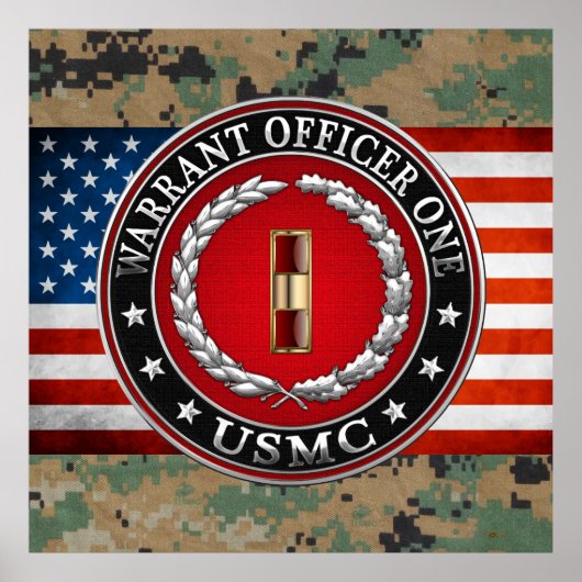 U.S. Marines: Warrant Officer One (USMC WO-1) [3D] Poster (Voorkant)