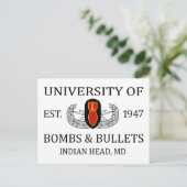 U van het Indiase hoofd van B&B Briefkaart (Staand voorkant)