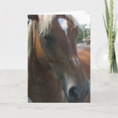 U vangt altijd mijn oog feestdagen kaart (Voorkant)