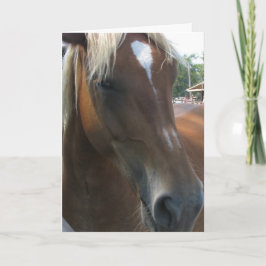 U vangt altijd mijn oog feestdagen kaart