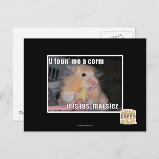 U vond me een graan briefkaart (Voorkant / Achterkant)