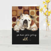 u weet u oude, grappige, gelukkige verjaardag kaart (Gele Bloem)