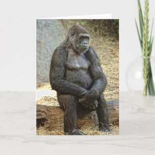 U weet u van me houdt kaart