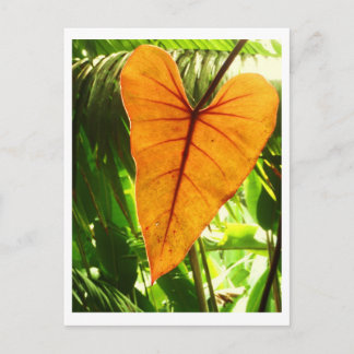 "U wordt gehouden van " Briefkaart