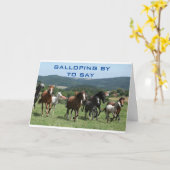 U ZAL DOOR ALLE ONS KAARTEN WORDEN VERMIST (Gele Bloem)