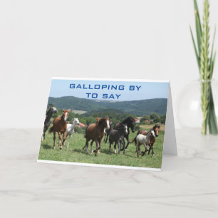 U ZAL DOOR ALLE ONS KAARTEN WORDEN VERMIST