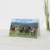 U ZAL DOOR ALLE ONS KAARTEN WORDEN VERMIST (Voorkant)