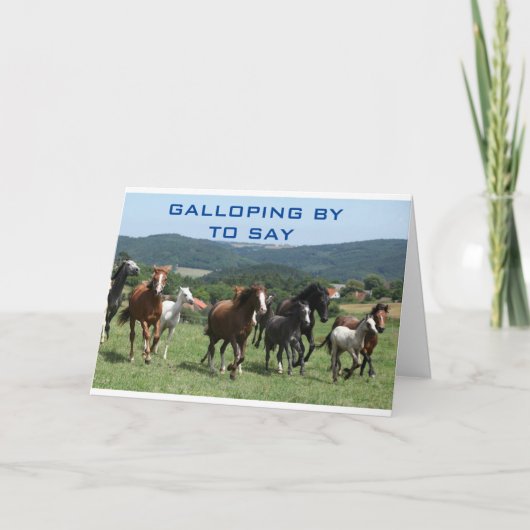 U ZAL DOOR ALLE ONS KAARTEN WORDEN VERMIST (Voorkant)