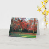 U zegt het het best de Kaart van Groeten (Gele Bloem)