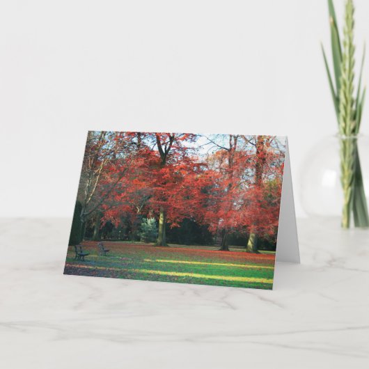 U zegt het het best de Kaart van Groeten (Voorkant)