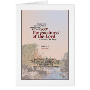 U zult de goedheid van God zien - Psalm 27:13