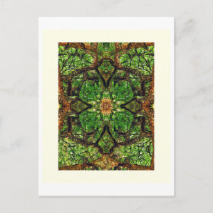 UABSTRACT AMBIDEXTEROUS TREES #66, geef G, Olie ui Briefkaart