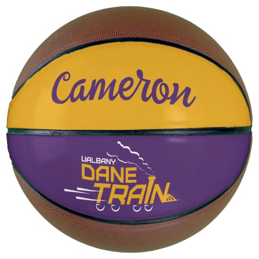 UAlbany Dane Train Logo Basketbal (Voorkant)