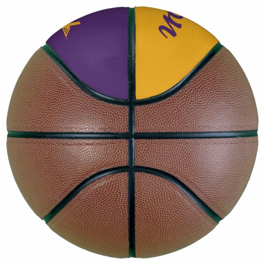 UAlbany Dane Train Logo Basketbal (Rechts)