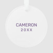 UAlbany Dane Train Logo Ornament (achterkant)