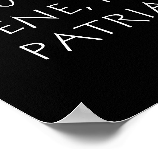 Ubi bene ibi patria poster (Hoek)