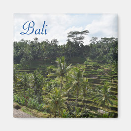 Ubud Bali Magneet