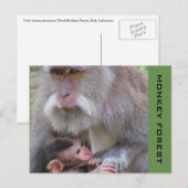 ubud macaque briefkaart (Voorkant / Achterkant)